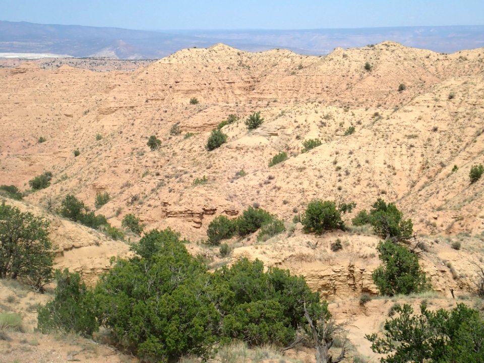 Arroyo Ojito Formation