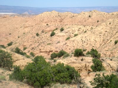 Arroyo Ojito Formation photo