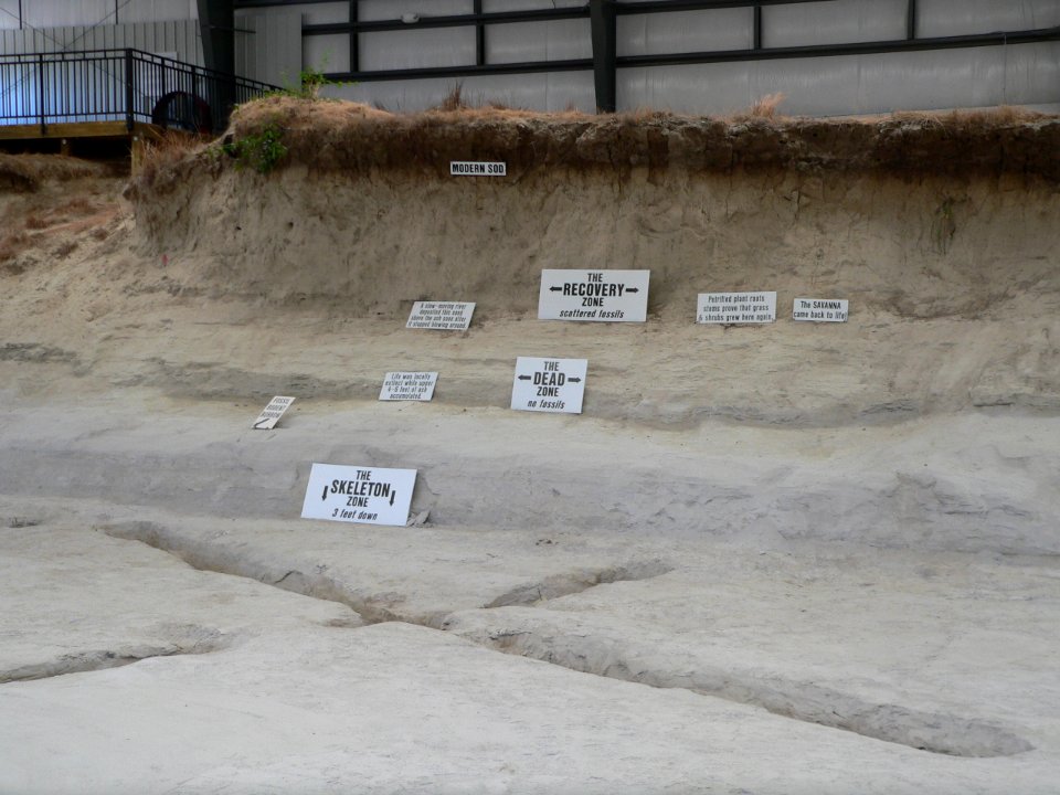 Ashfall Fossil Beds - layers