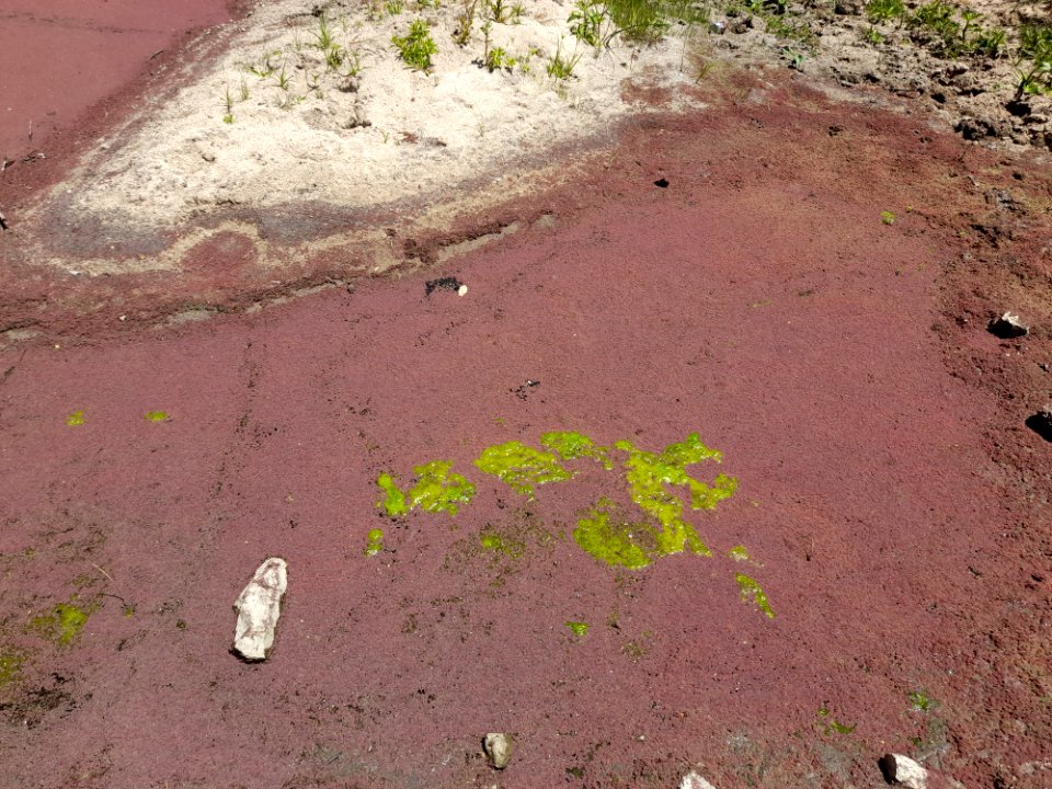 Arroyo de Laguna del Cisne, 11