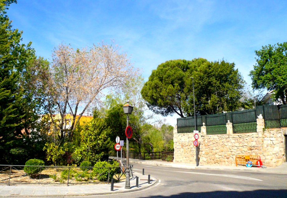 Arroyomolinos - Arroyo del Bosque 09