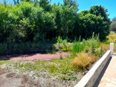 Arroyo de Laguna del Cisne, 5