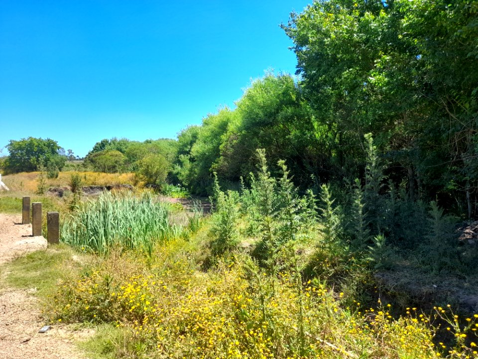 Arroyo de Laguna del Cisne, 9