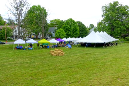 Ashfield Town Spectacle & Culture Fair - Ashfield, Massachusetts - DSC06444