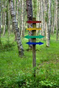 Arrows marking multiple hiking trails in Gullmarsskogen