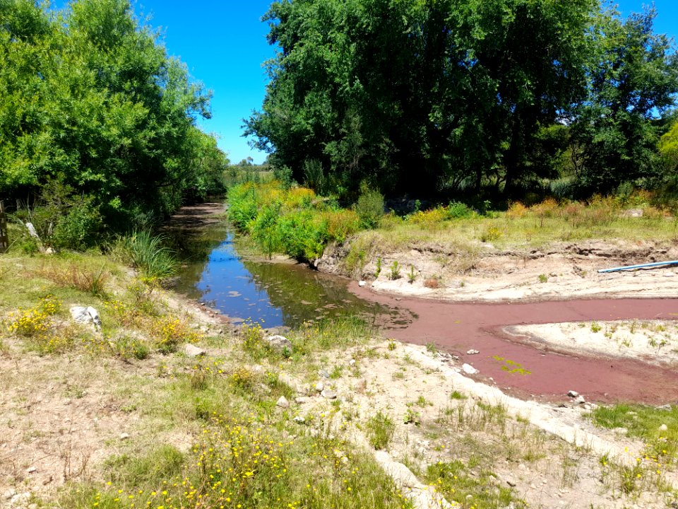 Arroyo de Laguna del Cisne, 13