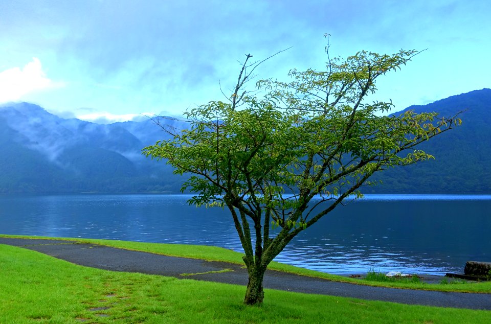 Ashinoko Lake - Hakone, Japan - DSC05539