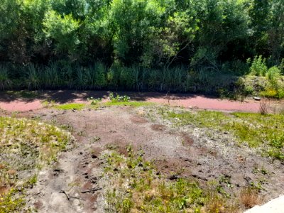 Arroyo de Laguna del Cisne, 3