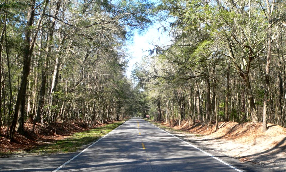 Ashley River Road 1.8 mi N of Bees Ferry Rd