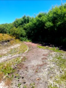 Arroyo de Laguna del Cisne, 7