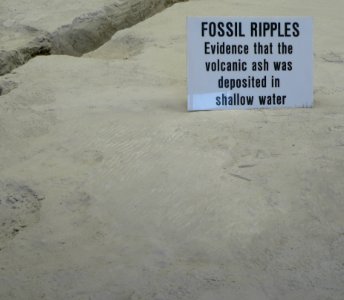Ashfall Fossil Beds - ripples