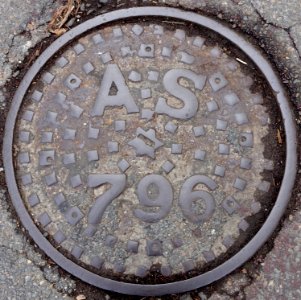 AS 796 - Arlington, MA - DSC06342