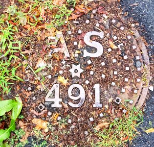 AS 491 - Arlington, MA - 20200911 100213