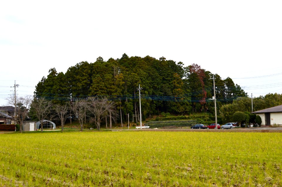 Ashimayama-kofun zenkei