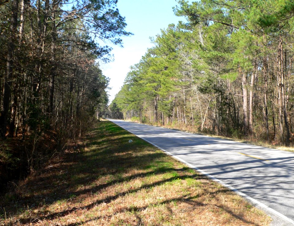 Ashley River Road 7.6 mi N of Bees Ferry Rd 1