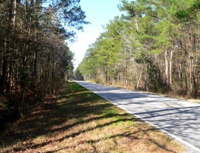 Ashley River Road 7.6 mi N of Bees Ferry Rd 1