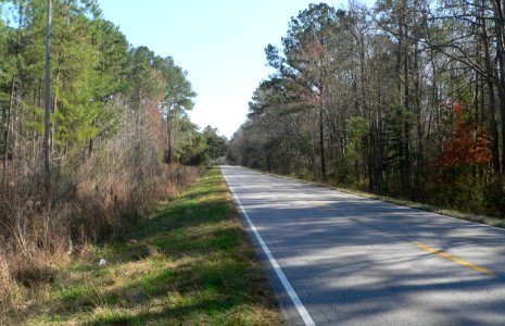 Ashley River Road 10.3 mi N of Bees Ferry Rd