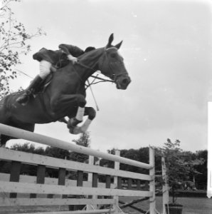 Ascot in Amsterdams Bos (Concours Hippique tgv 66 e Lustrum Amsterdamse stude, Bestanddeelnr 914-0875
