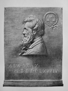Asa Gray plaque, 1884
