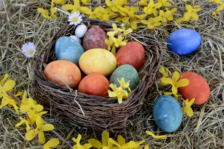 Colorful easter decoration