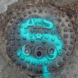 AS 669 - Arlington, MA - DSC08445