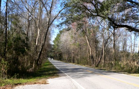 Ashley River Road 5.3 mi N of Bees Ferry Rd 1