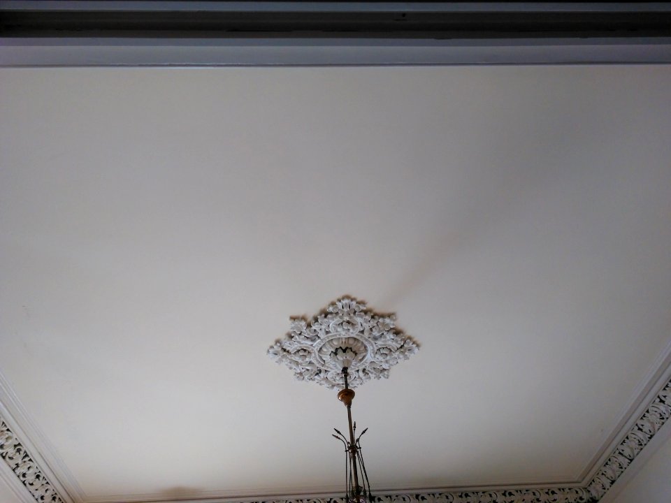 Ashton Villa ceiling 3