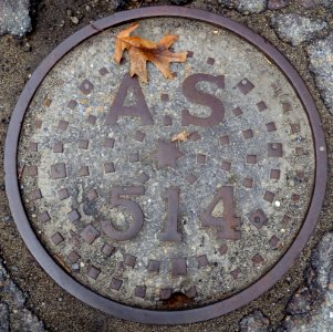 AS 514 - Arlington, MA - DSC05606
