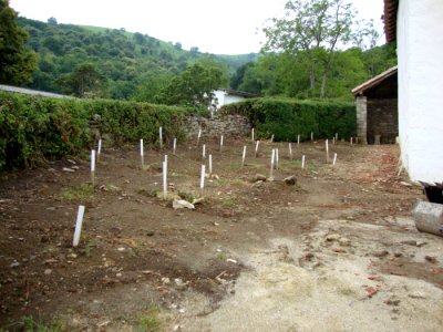 Ascombéguy (Lantabat, Pyr-Atl, Fr) cimetière basque (MH) en cours de restauration