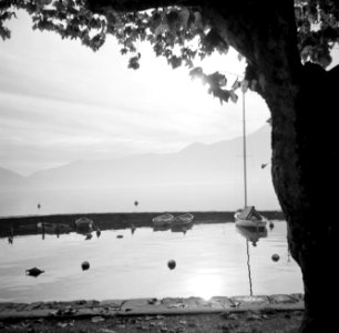 Ascona Haventje in tegenlicht met op de voorgrond een boom, Bestanddeelnr 254-4825