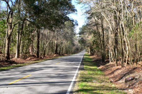 Ashley River Road 2.9 mi N of Bees Ferry Rd 1