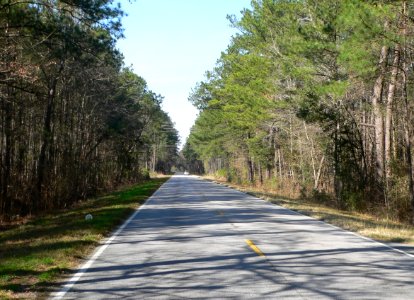 Ashley River Road 7.6 mi N of Bees Ferry Rd 2