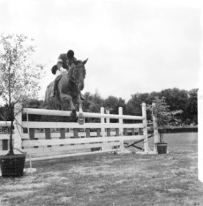 Ascot in Amsterdams Bos (Concours Hippique tgv 66 e Lustrum Amsterdamse stude, Bestanddeelnr 914-0876