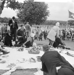 Ascot in Amsterdams Bos (Concours Hippique tgv 66 e Lustrum Amsterdamse stude, Bestanddeelnr 914-0874