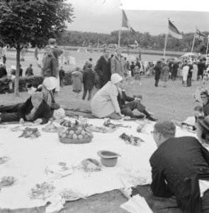 Ascot in Amsterdams Bos (Concours Hippique tgv 66 e Lustrum Amsterdamse stude, Bestanddeelnr 914-0871