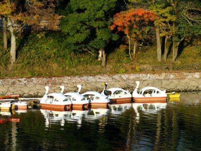 Asahi River (Okayama City) - DSC01779