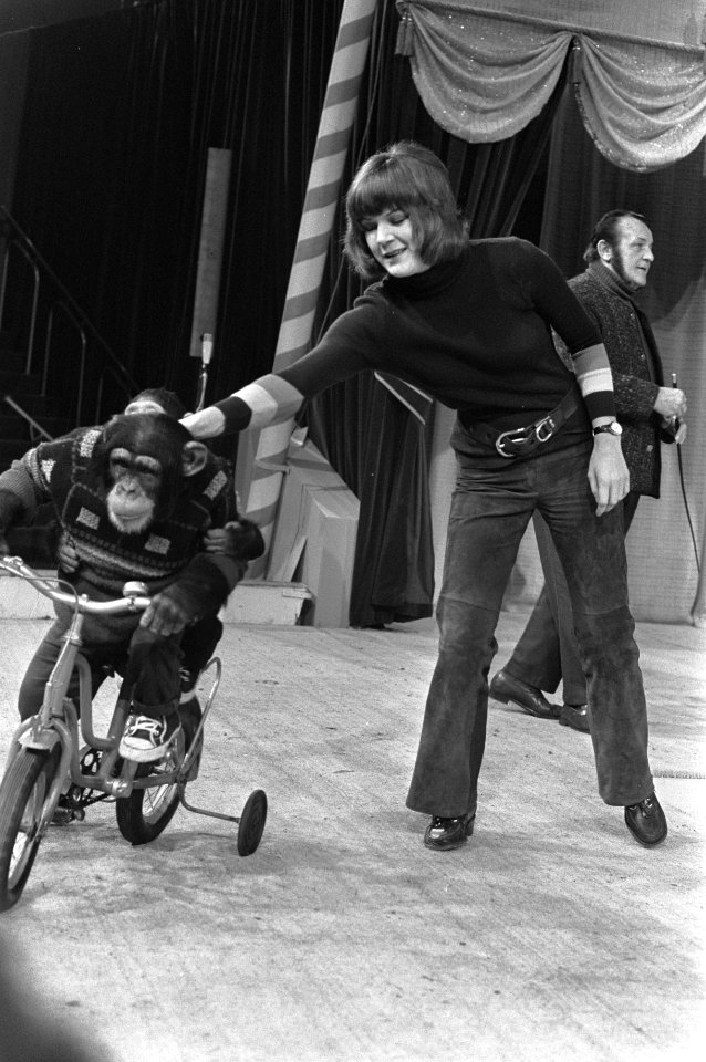 Artiesten treden op met circusnummers in Nationaal Songfestival in Carré, Amster, Bestanddeelnr 925-3874