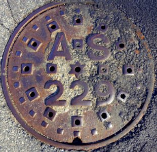 AS 229 - Arlington, MA -DSC06138