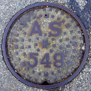 AS 548 - Arlington, MA - DSC04951