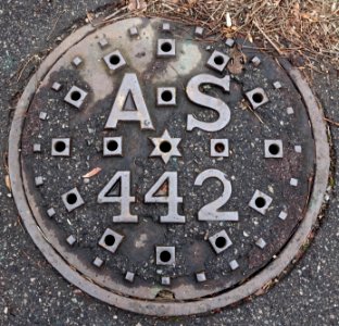 AS 442 - Arlington, MA - DSC09604