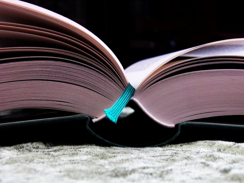 Pages book pages old