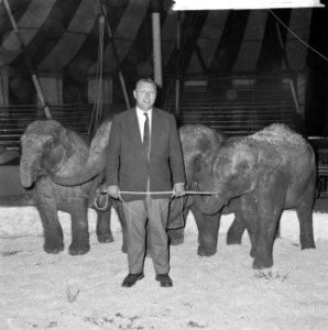 Artiesten treden in circus Boltini op ( Tom Kelling olifant), Bestanddeelnr 914-1003