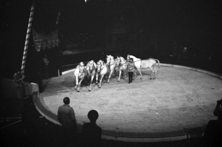 Artiesten treden op met circusnummers in Nationaal Songfestival in Carré, Amster, Bestanddeelnr 925-3871