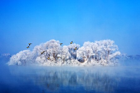 Sky landscape water photo