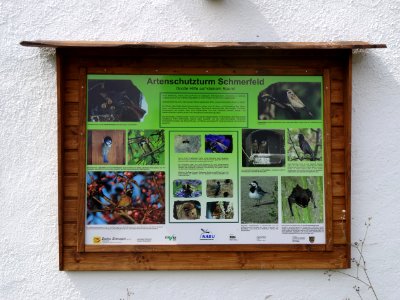 Artenschutzturm Schmerfeld 3
