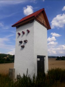Artenschutzturm Espenfeld - 2