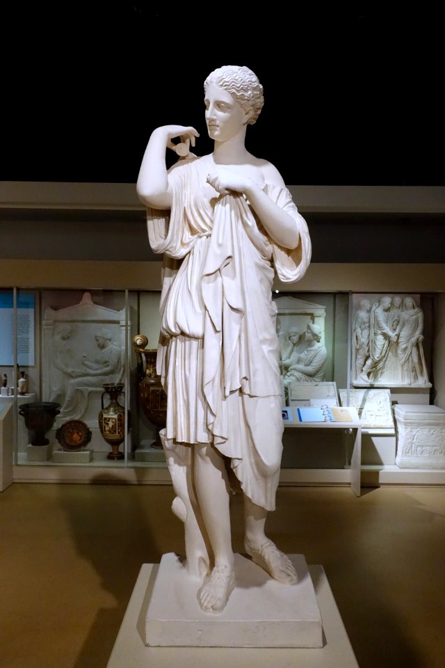 Artemis by Praxiteles, plaster cast of 2nd century AD Roman marble copy of Greek bronze original, Gabii, Rome, now in the Louvre - Spurlock Museum, UIUC - DSC05860