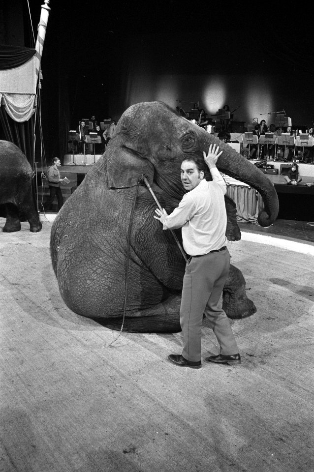 Artiesten treden op met circusnummers in Nationaal Songfestival in Carré, Amster, Bestanddeelnr 925-3863