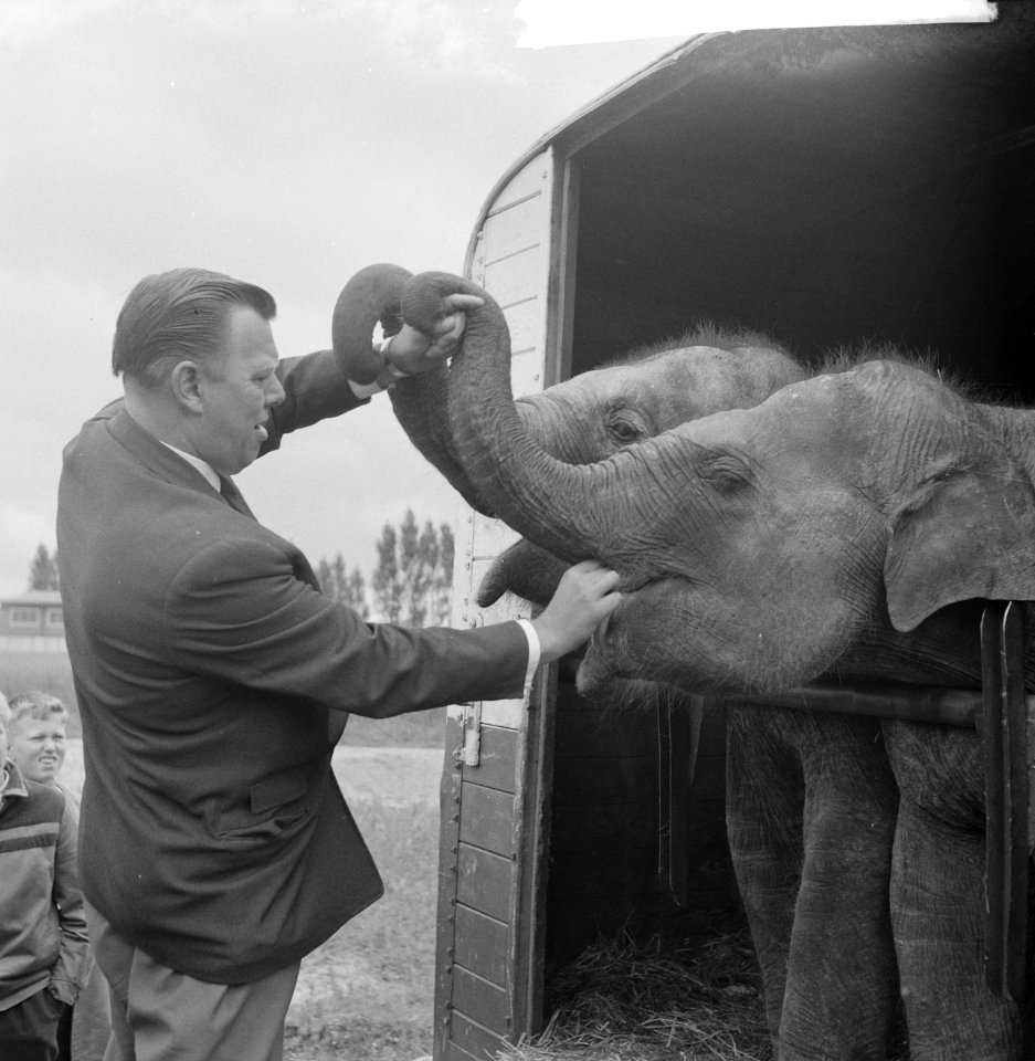 Artiesten treden in circus Boltini op ( Tom Kelling olifant), Bestanddeelnr 914-1001