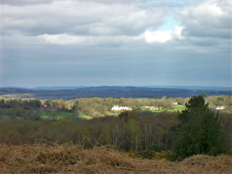 Ashdown Forest, near Gill's Lap 01